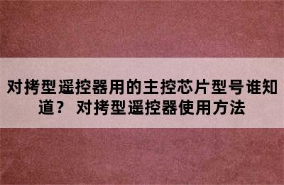 对拷型遥控器用的主控芯片型号谁知道？ 对拷型遥控器使用方法